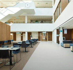 Forbo SureStep  Fast Fit 618802 elegant oak фото 3 | FLOORDEALER